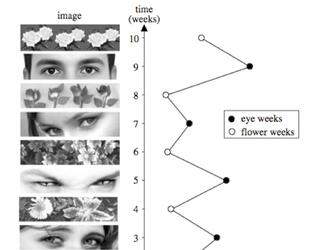 Res_4006631_eyes_chart_1